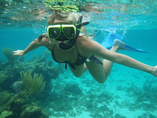 Cayman Islands snorkeling tours