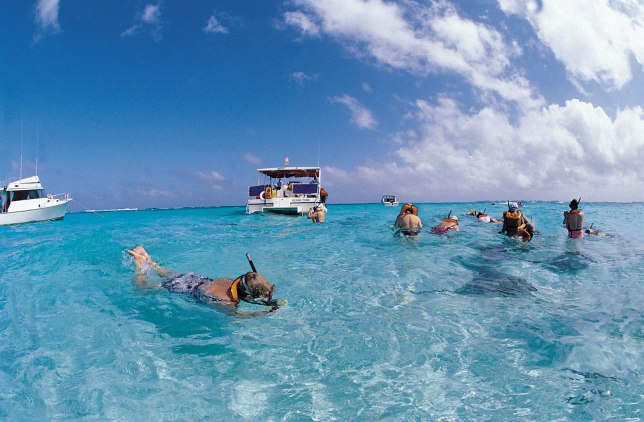 Cayman Islands snorkeling